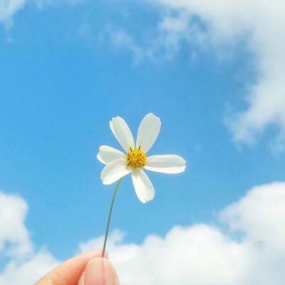 bob综合在线体育