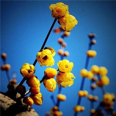 澳客APP下载官网下载手机版