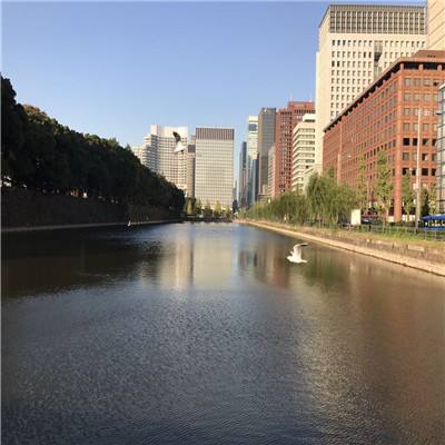 大发黄金版app下载手机app下载