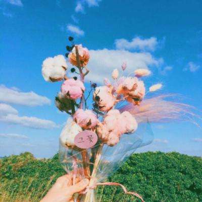 澳门新莆京游戏大厅app下载